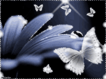 Butterflies Flower GIF - Butterflies Flower Sparks GIFs