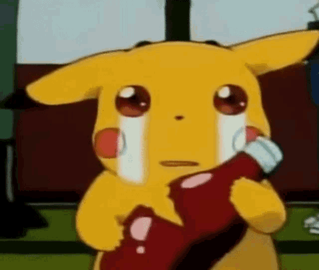 Pokemon Pikachu Sad GIFs