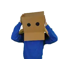a person with a cardboard box on their head has their hands up in the air