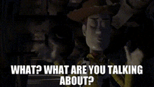 What What Are You Talking About GIF - What What Are You Talking About Woody GIFs