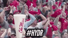 basketball hydr fans cheer