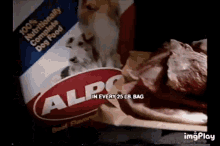 Alpo Dog Food GIF - Alpo Dog Food Tv Ad GIFs