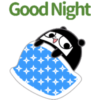 Ninja Bear Good Night Sticker
