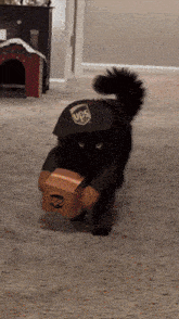 a black cat is dressed up as an ups delivery man