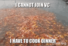 i cannot join vc i have to cook dinner i cannot join vc join vc fish i will not join