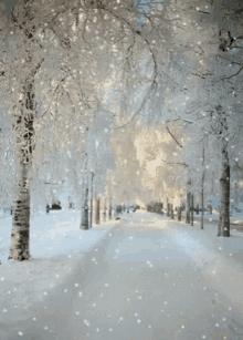 Snow Light GIF - Snow Light GIFs