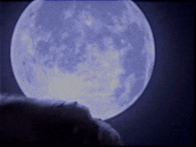 a person is standing in front of a full moon in a dark sky .