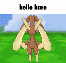 hare loserlocke