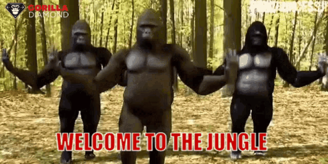 Gdt Gorilla Diamond GIF - Gdt Gorilla Diamond Welcome To The Jungle GIFs