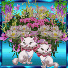 Macskák Flowers GIF - Macskák Flowers Cat GIFs