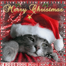 Merry Christmas Kitten GIF - Merry Christmas Kitten GIFs