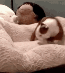 Cant Sleep Dog GIF - Cant Sleep Dog Puppy GIFs