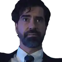 a man with a beard in a suit and tie looks at the camera