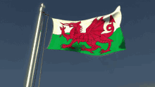 Flag Flag Waver GIF - Flag Flag Waver Wales GIFs
