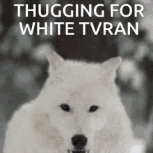 Turan Thugging For Turan GIF - Turan Thugging For Turan Turan Thug GIFs