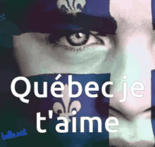 Québec Québec Je Taime GIF - Québec Québec Je Taime Flag GIFs