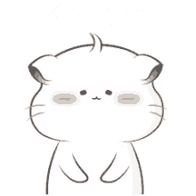 worried cat