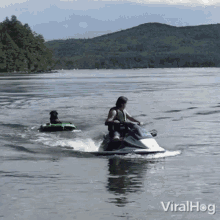 dog viralhog tubing riding jetski