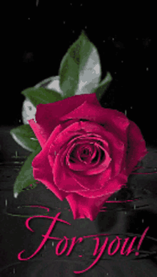 Hafida For You GIF - Hafida For You Red Rose GIFs