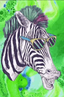 Donkey Zebra GIF