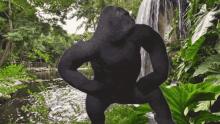 Moving Left To Right Itsrucka GIF - Moving Left To Right Itsrucka Gorilla Dancing GIFs