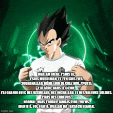 vegeta from dragon ball z is wearing a white shirt with a soccer ball on it and a green background .