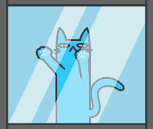 Cat Crazy Blue Cat GIF - Cat Crazy Blue Cat Let Me In GIFs