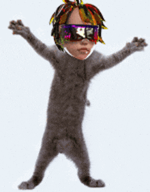 Kiraverse Kiracurrency GIF - Kiraverse Kiracurrency Dancing Cat GIFs