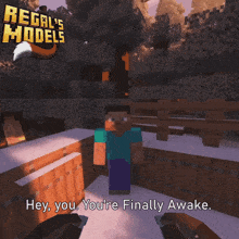 a screenshot of a video game with the words hey you you 're finally awake at the top