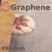 airdrop graphene crypto cryptocurrency cat
