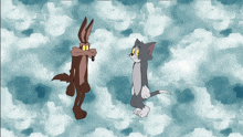 a cartoon of coyote and tom standing next to each other on a cloudy background