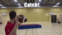 Catch One Handed GIF - Catch One Handed Tigers GIFs
