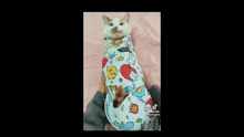 a person is holding a cat wrapped in a blanket that says tiktok on it