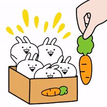 rabbits vegetables