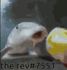 Rev The Rev GIF