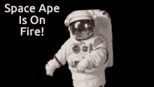 Space Ape1 Zadarmy GIF - Space Ape1 Zadarmy GIFs