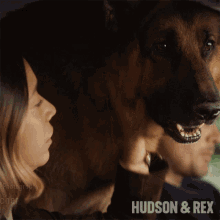 Petting Rex GIF - Petting Rex Hudson And Rex GIFs