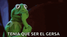 kermit the frog is holding his hand to his face and says tenia que ser el gersa