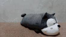 Giggles Snoozle GIF - Giggles Snoozle Cat And Dog GIFs