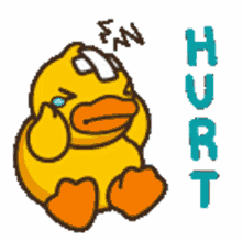 canard blesse canard blesse