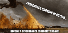 Fire Ecology Disturbance Ecology GIF - Fire Ecology Disturbance Ecology Prescribe Fire GIFs