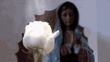 La Rosa De Guadalupe Rose GIF - La Rosa De Guadalupe Rose Guadalupe GIFs