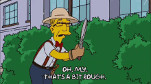 Bush GIF - Bush Rough Simpsons GIFs
