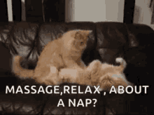 Funny Massage Meme GIFs | Tenor