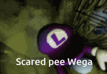 Scared Pee Wega GIF - Scared Pee Wega GIFs