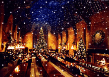 Christmas Dinner GIF - Christmas Dinner Harry Potter GIFs