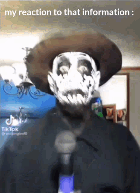 a man wearing a cowboy hat and a mask holds a microphone