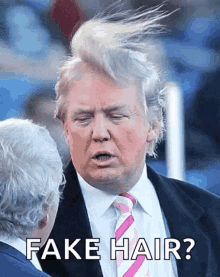 Donald Trump Hair GIF - Donald Trump Hair Flowing Hair GIFs