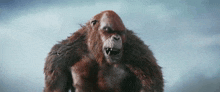 Skar King Godzilla X Kong The New Empire GIF - Skar King Godzilla X Kong The New Empire Laughing GIFs