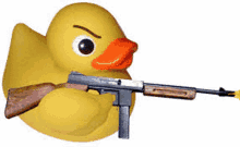 questionable duck duck with a gun